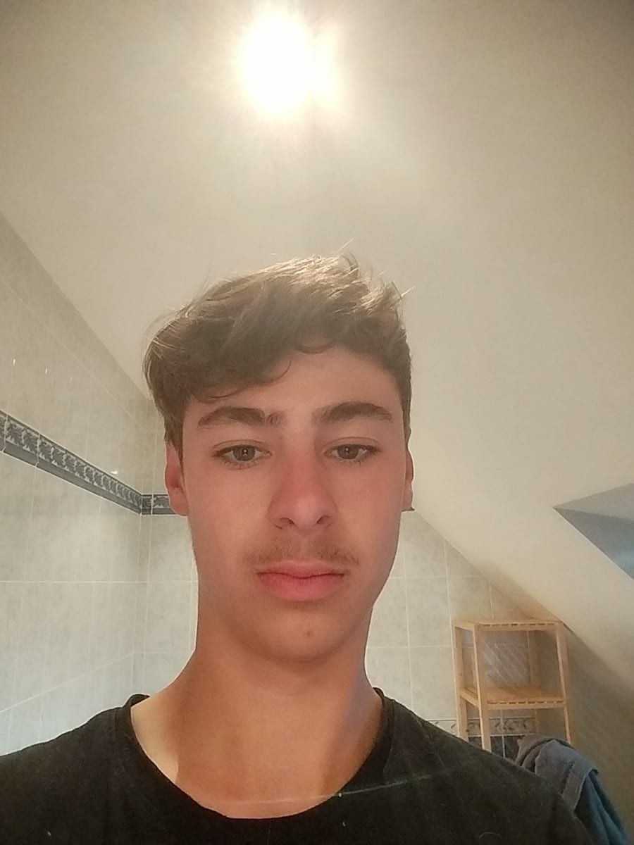 Profil de Hogan