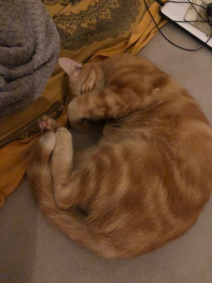 Profil de Oliver