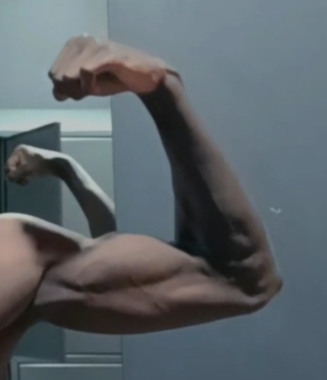 Profil de Niklas